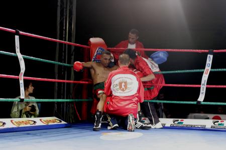 La boxe sous les projecteurs